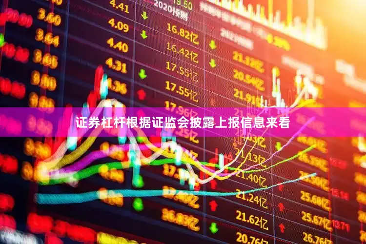 证券杠杆根据证监会披露上报信息来看