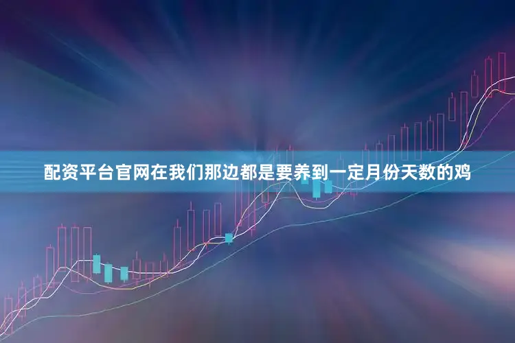 配资平台官网在我们那边都是要养到一定月份天数的鸡